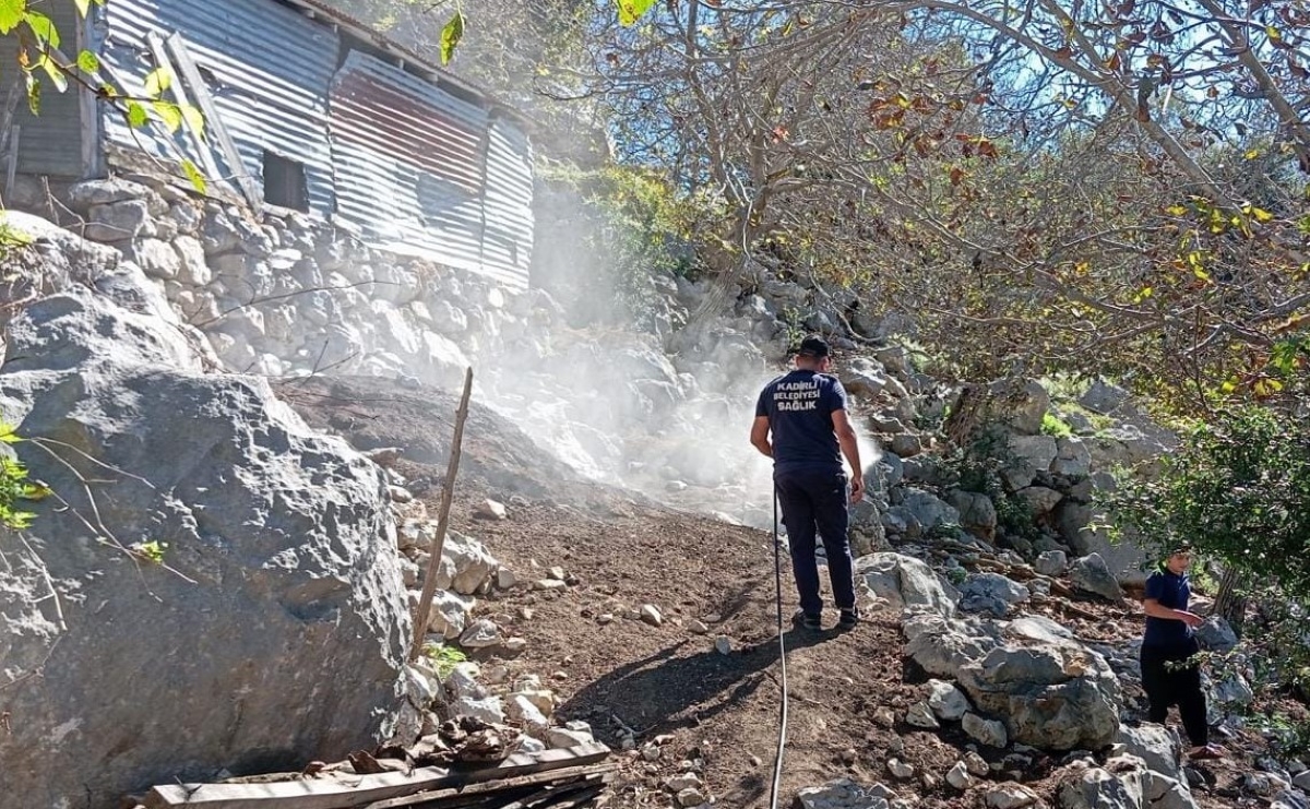 Mavi Dil Hastalığı Osmaniye Ilaçlama