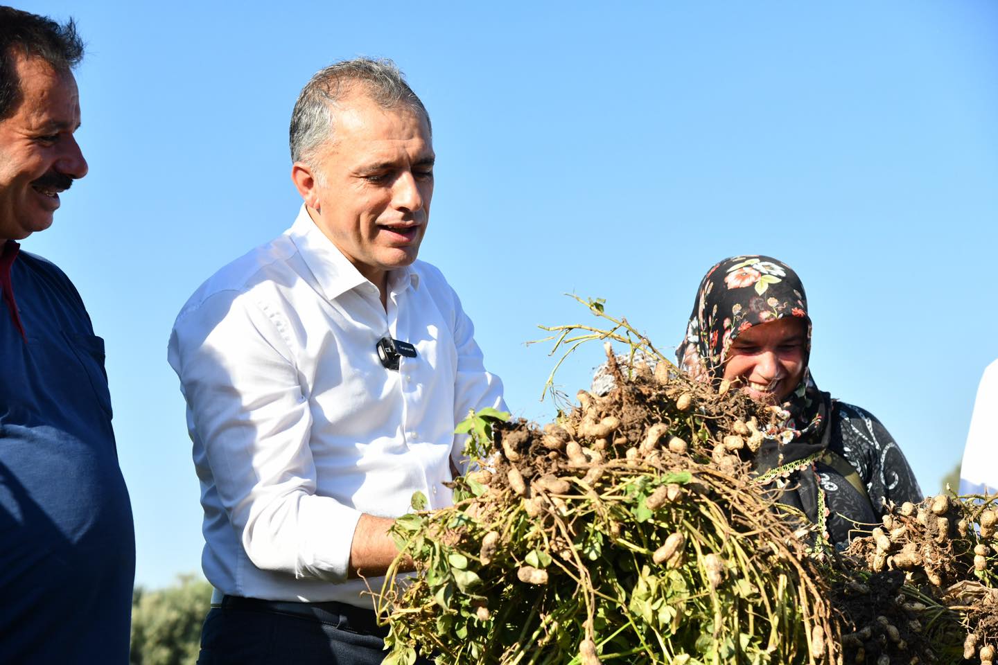 Osmaniye Yerfıstığı (4)