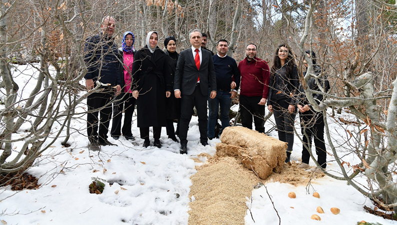 Osmaniye Belediyesi Dağlara Yem (4)