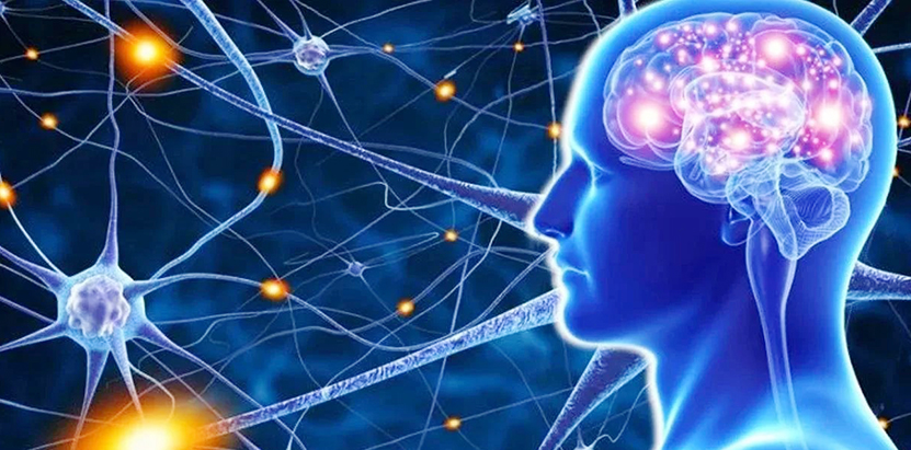 Als Hastalığı Nedir