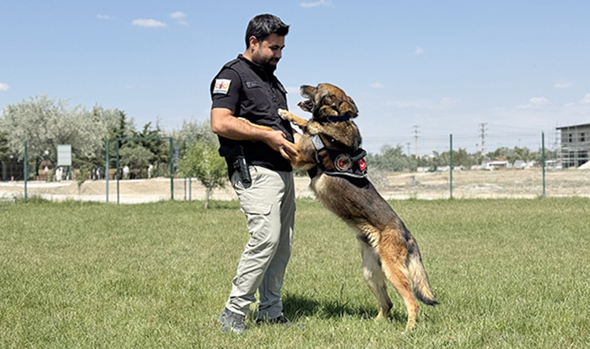 Bomba Arama Köpeği Artur1