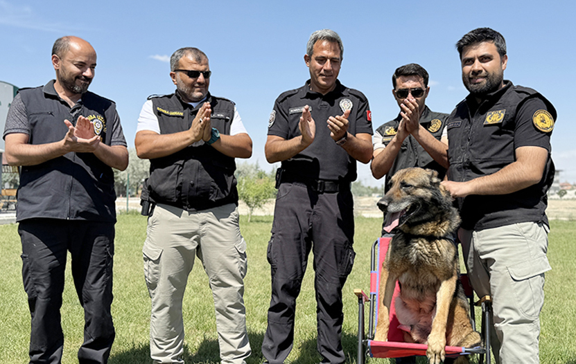 Bomba Arama Köpeği Artur2