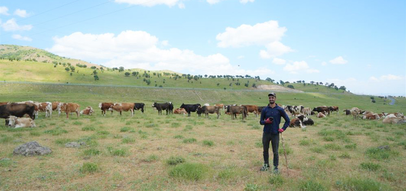 Çoban Bulamayan Köylüler