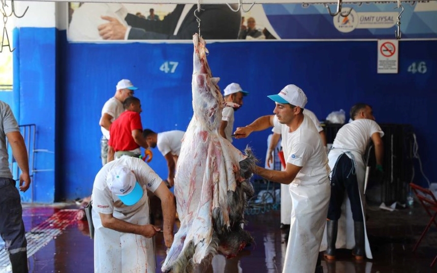 Kurban Kesimi, Ulaşım Ve Mezarlık Ziyaretlerinde Ücretsiz Hizmet
