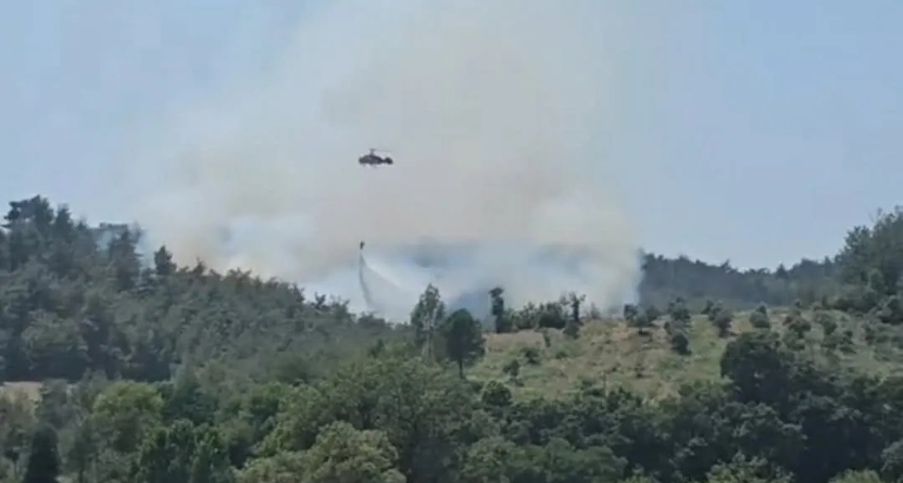 Osmaniye Orman Yangını