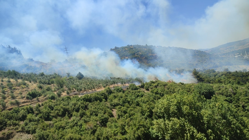Osmaniye'nin Düziçi Ilçesinde Çıkan Orman Yangını