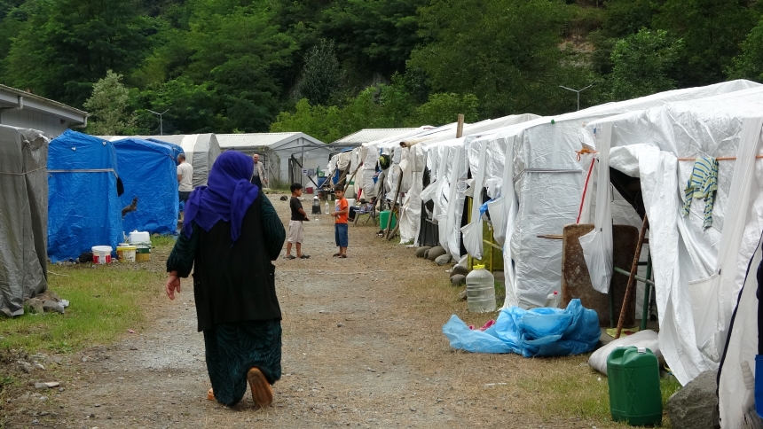 Fındık Hasadı (1)