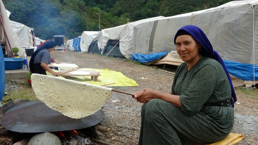 Fındık Hasadı (2)
