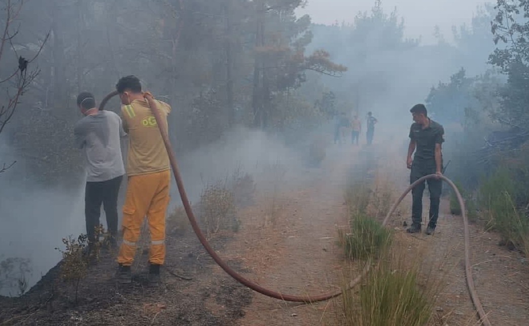 I M G 20250730 125616