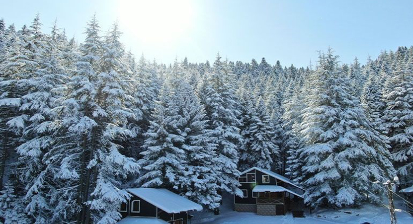 Kahramanmaraş Başkonuş Yaylası6