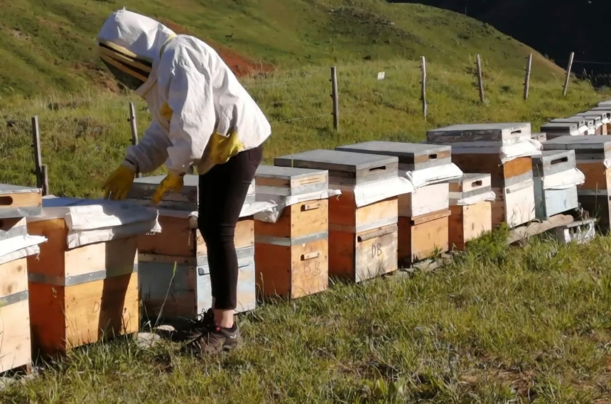 2025 Yılı Bal Alım Fiyatları-1