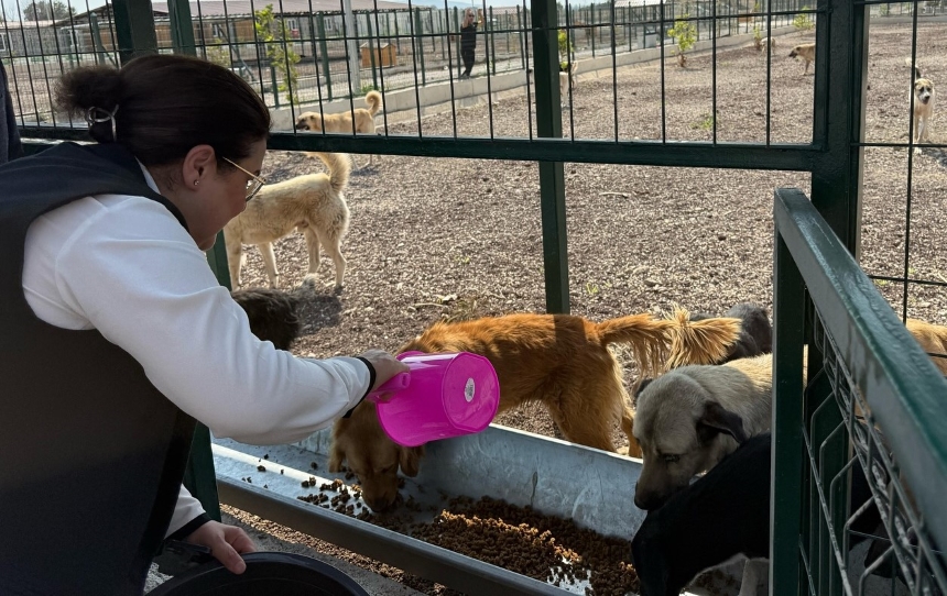 535525161 18423511531100011 4528438910097205000 N