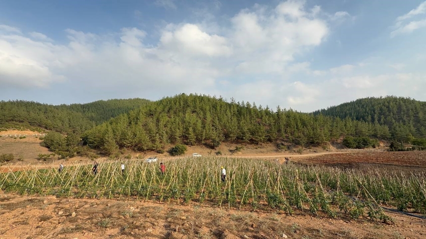 Adana Kozan'da Atıl Araziler Kooperatifleşiyor (1)