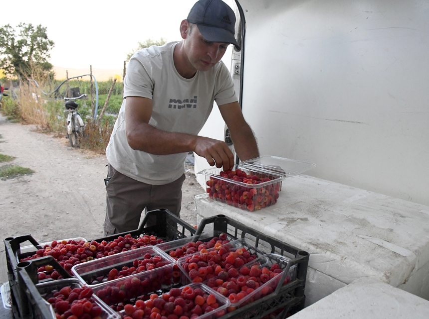 Atıl Araziyi Meyve Bahçesine Dönüştürdü1