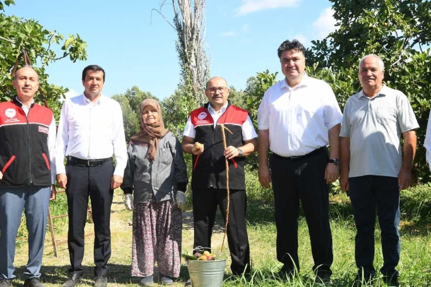 Balıkesir’de Coğrafi İşaretli Havran Siyah İnciri Hasadı (4)