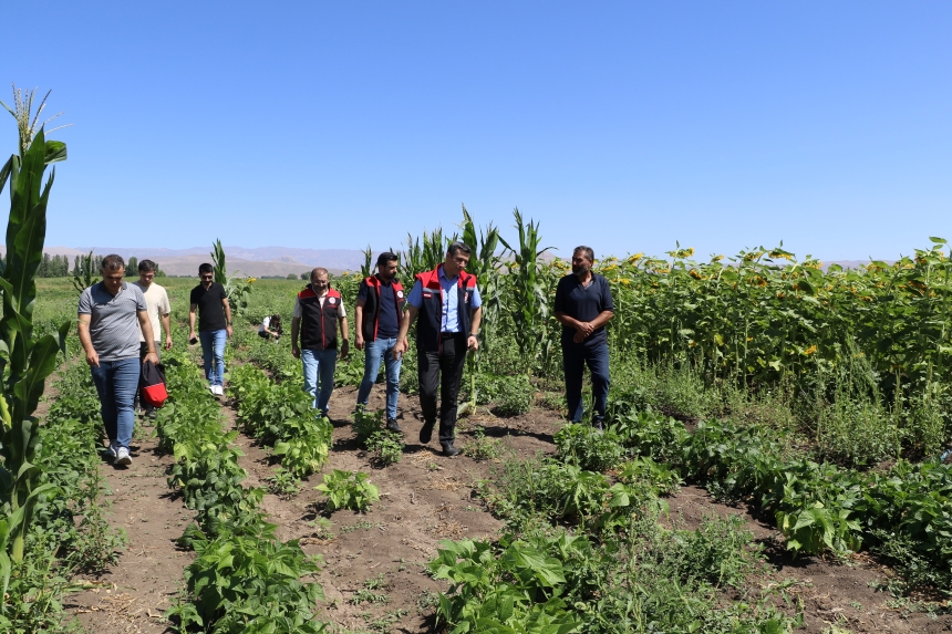 Çiftçinin Bostanı (4)