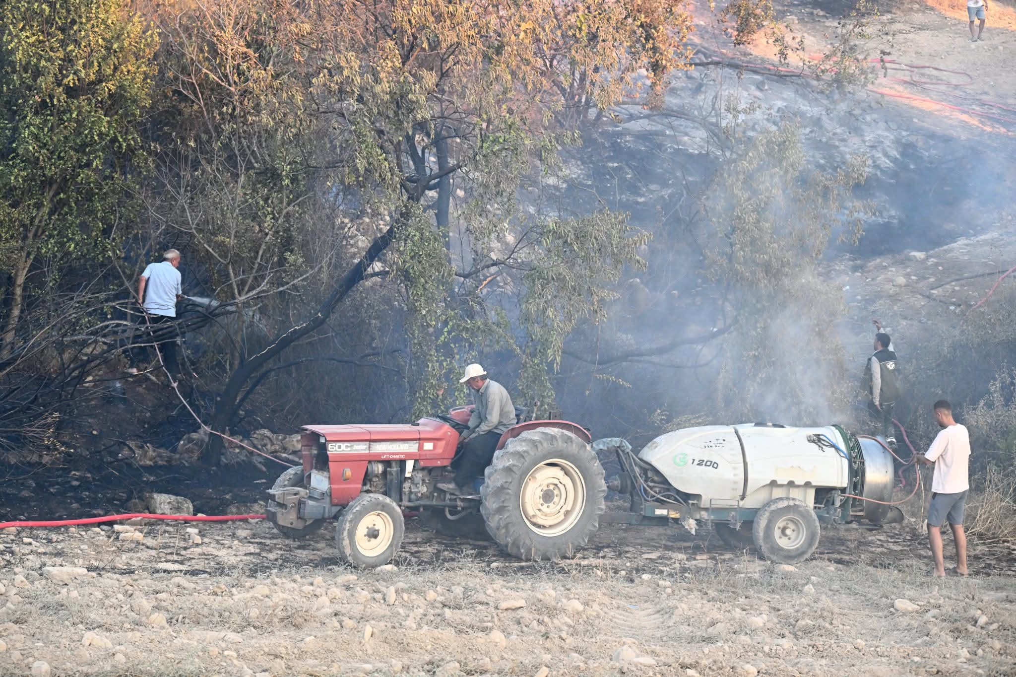 F B I M G 1755025131022