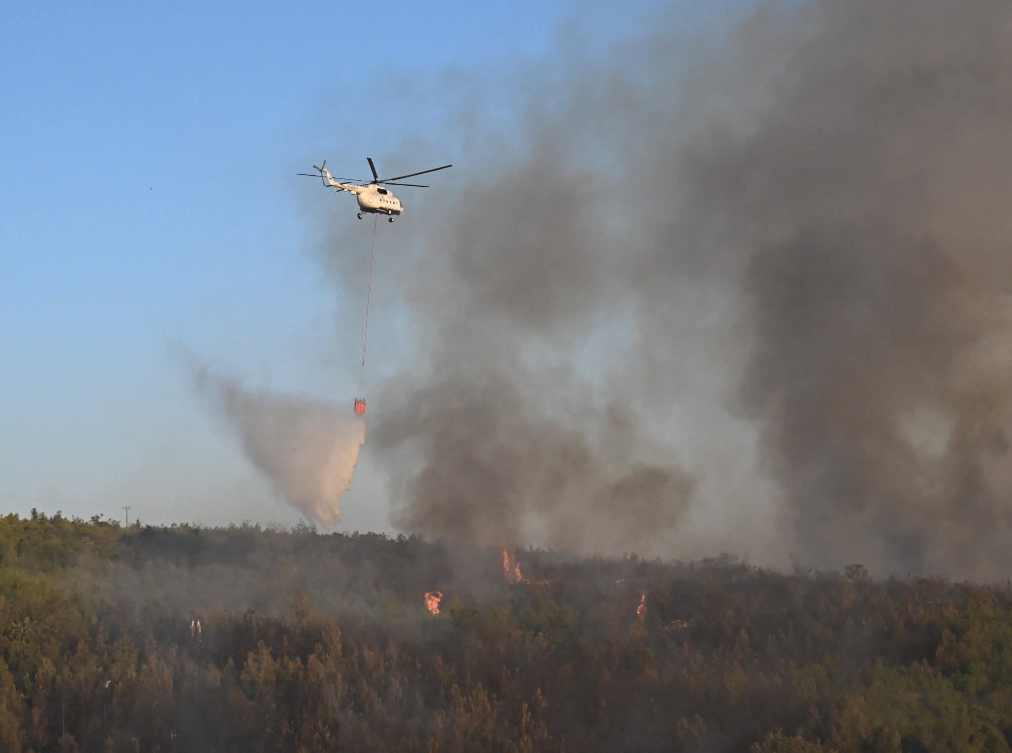 F B I M G 1755026645543