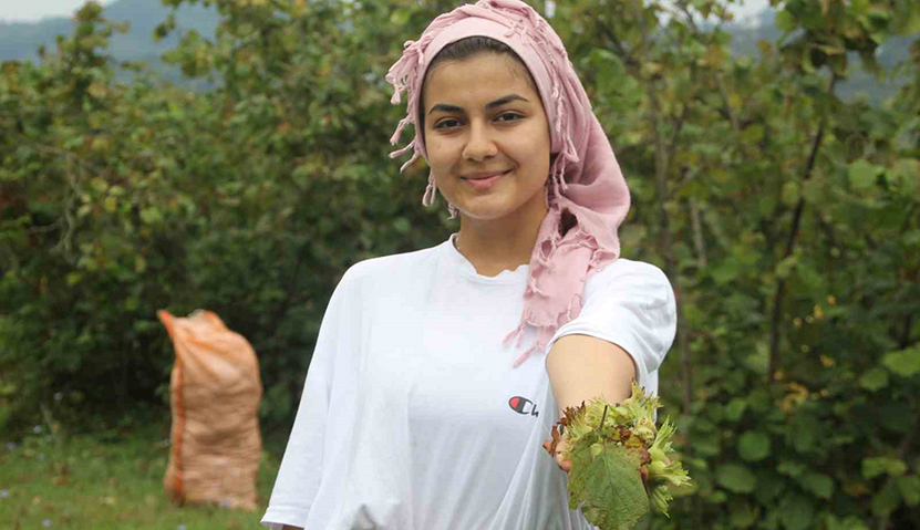 Fındık Fiyatları2