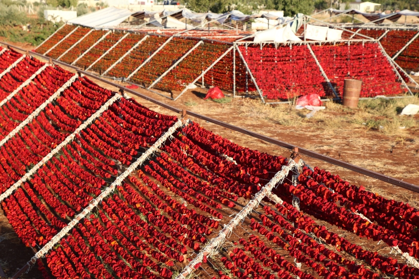 Gaziantep 108 Tescilli Lezzetiyle Türkiye’nin Coğrafi İşaret Lideri (2)