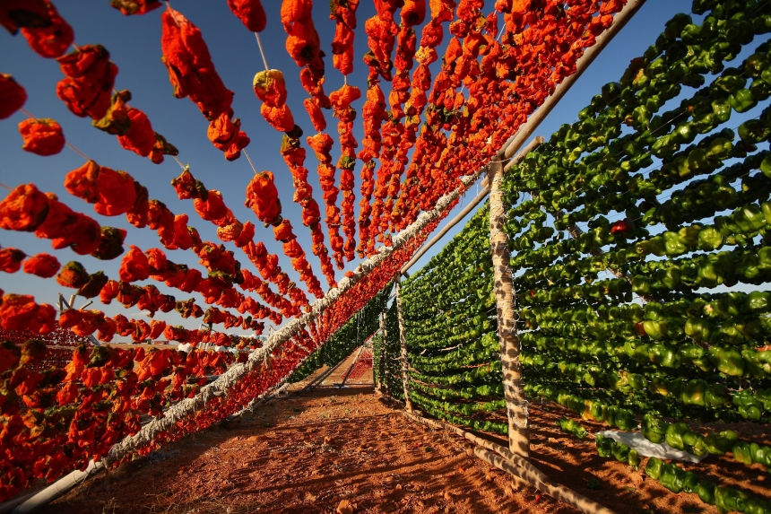 Gaziantep 108 Tescilli Lezzetiyle Türkiye’nin Coğrafi İşaret Lideri (4)