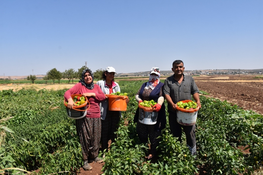 Gaziantep Şahinbey (4)