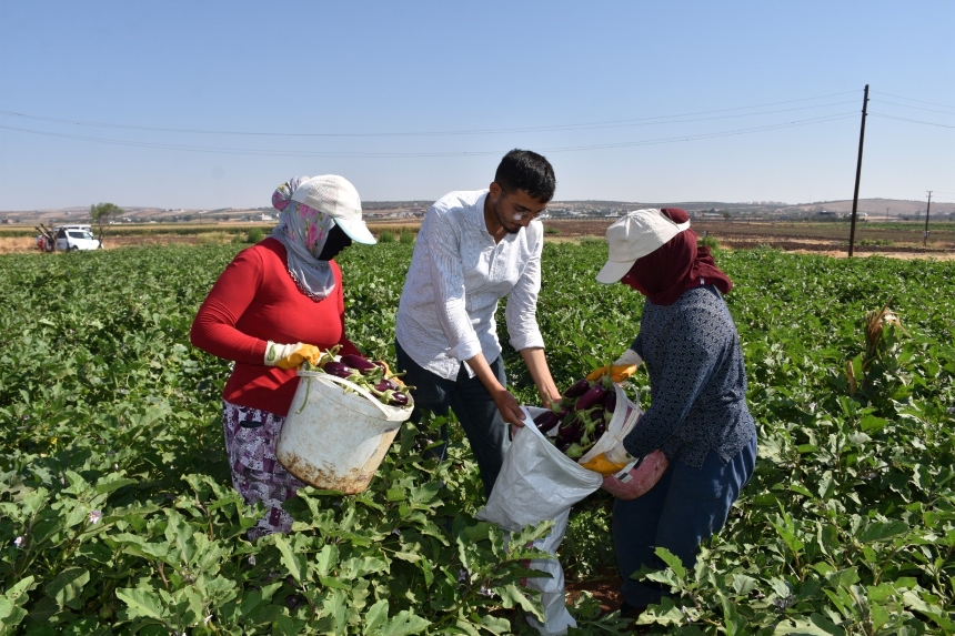 Gaziantep Şahinbey (5)