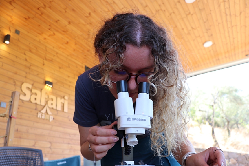 Gökyüzü Tutkunları