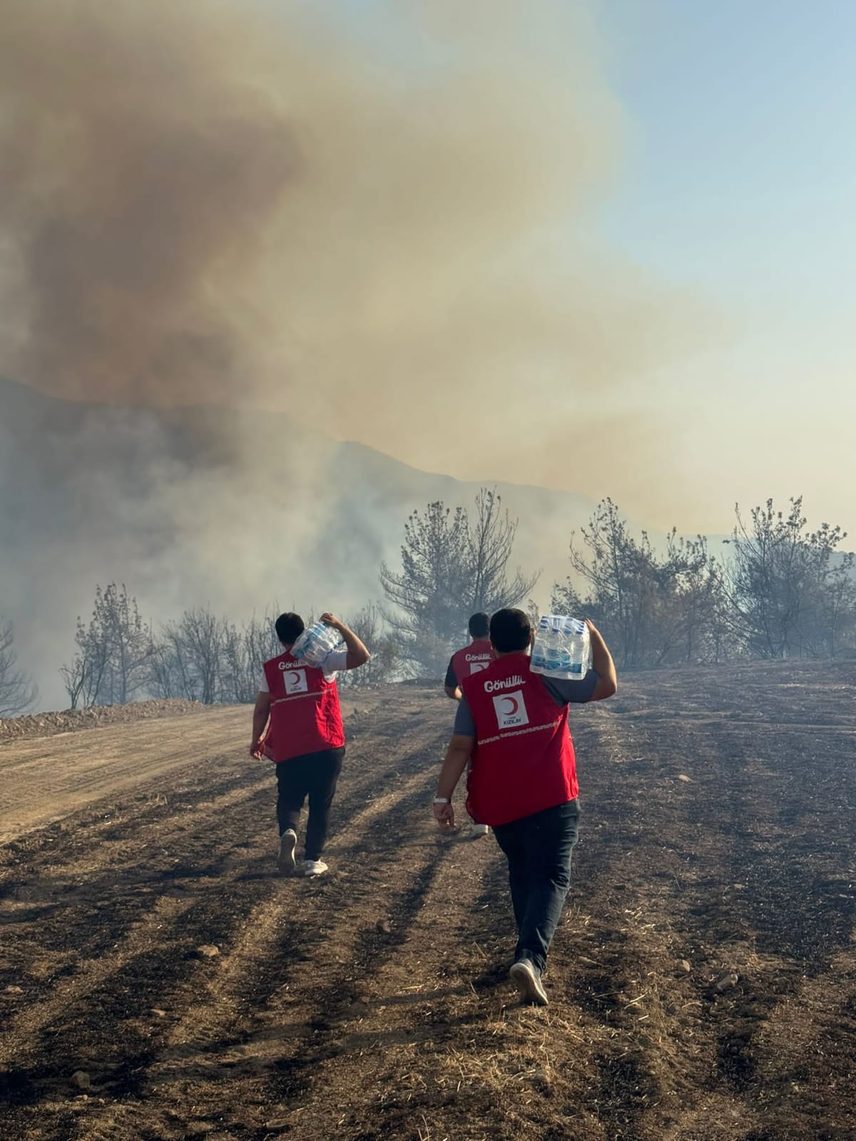 I M G 20250814 W A0120