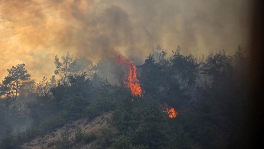 Karabük Zonguldak Karayolunda Orman Yangını (1)