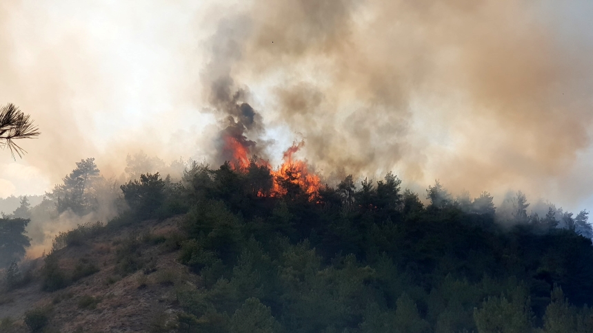 Karabük Zonguldak Karayolunda Orman Yangını (3)