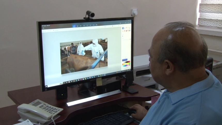 Kene İlaçlaması (2)