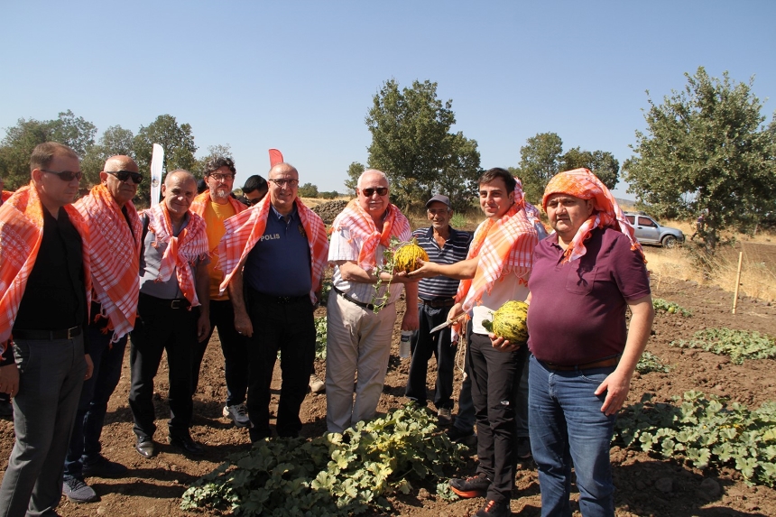 Manisa’nın Kula İlçesinde Kavun Hasadı Kaymakam Altuntaş’la Yapıldı (2)
