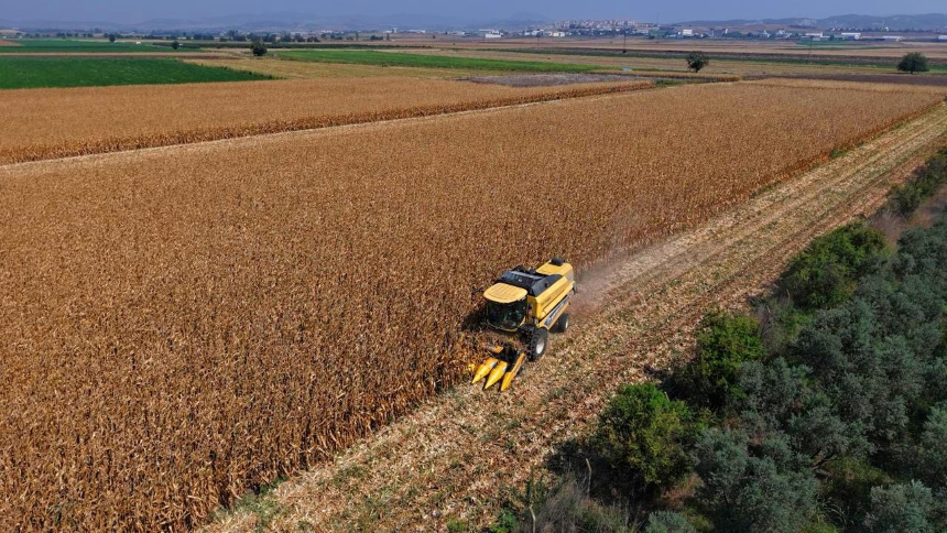 Osmaniye Mısır Hasadı 2