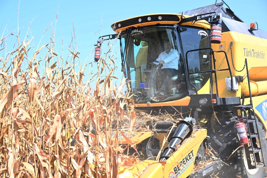 Osmaniye Mısır Hasadı