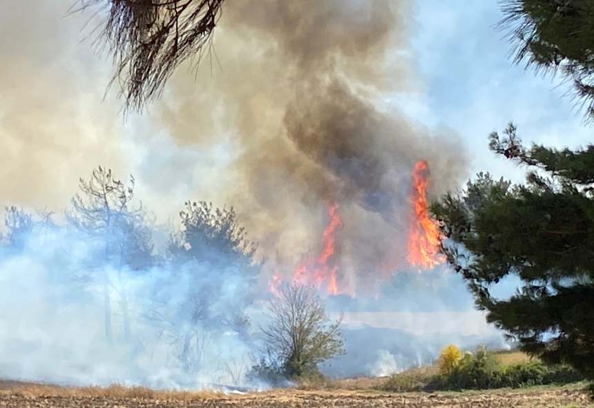 Osmaniye’de Orman Yangını (3)-1