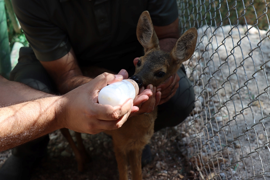 Şanlıurfa’da Özenli Bakım