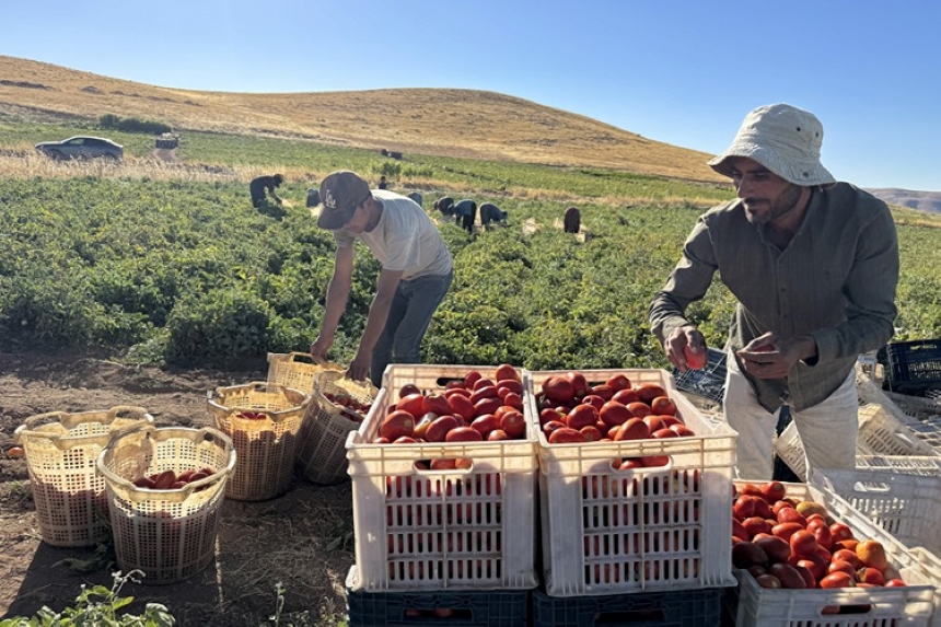 Tarıma Kazandırdılar-1