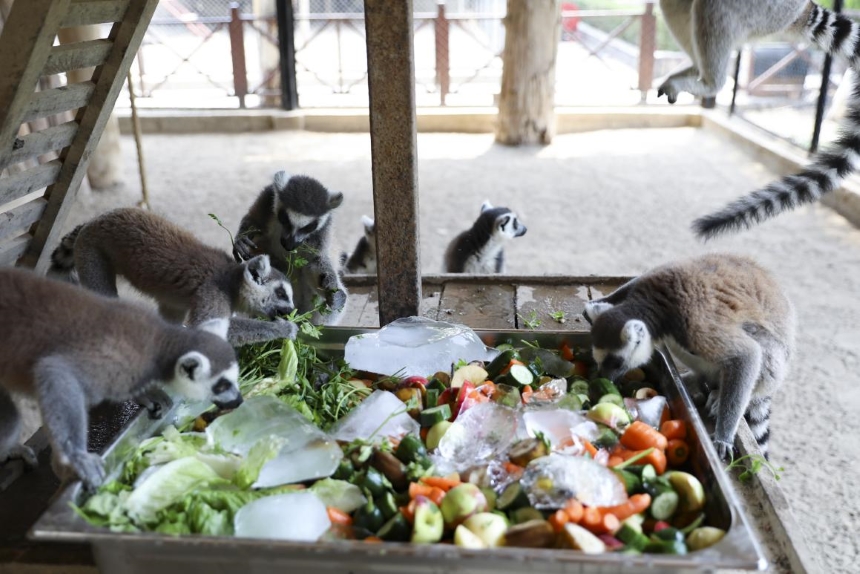 Tarsus Doğa Parkı-1