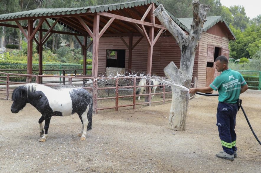 Tarsus Doğa Parkı1
