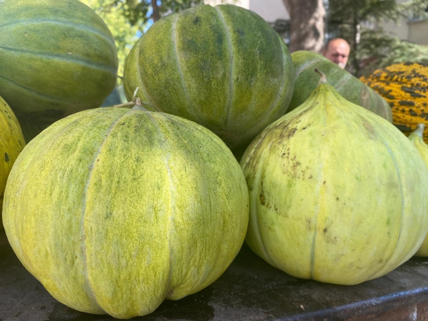 Tuzlu Toprakta Tatlanıyor