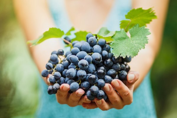 Üzümün Faydaları