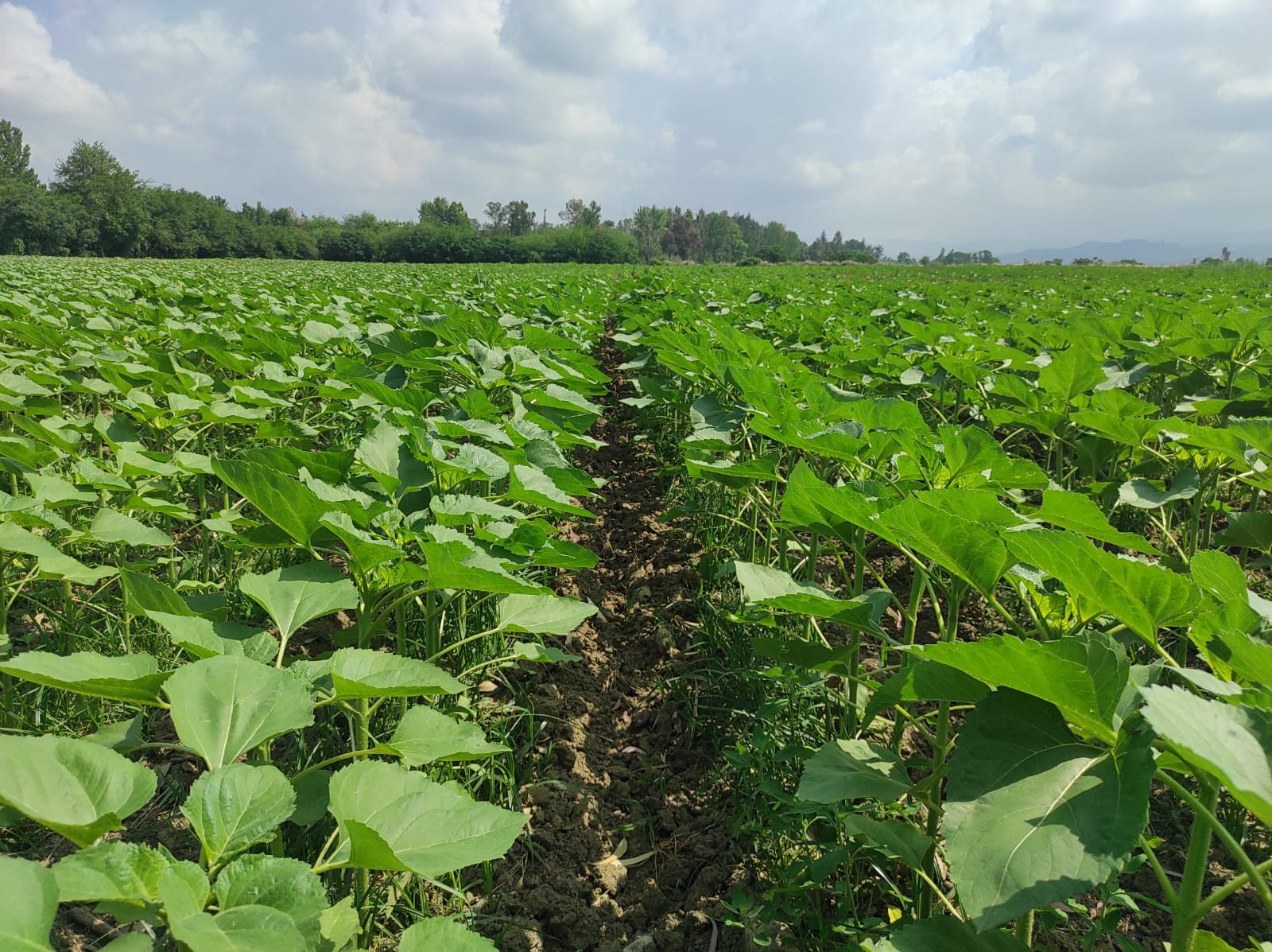 Whatsapp Image 2025 08 05 At 14.17.06 (2)