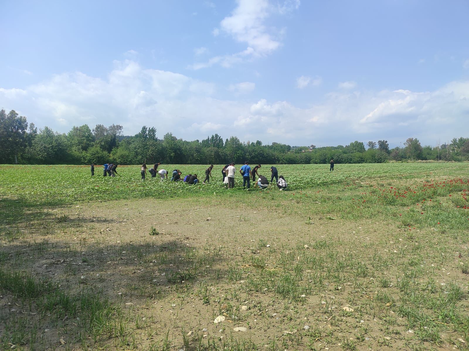 Whatsapp Image 2025 08 05 At 14.17.07 (3)-1