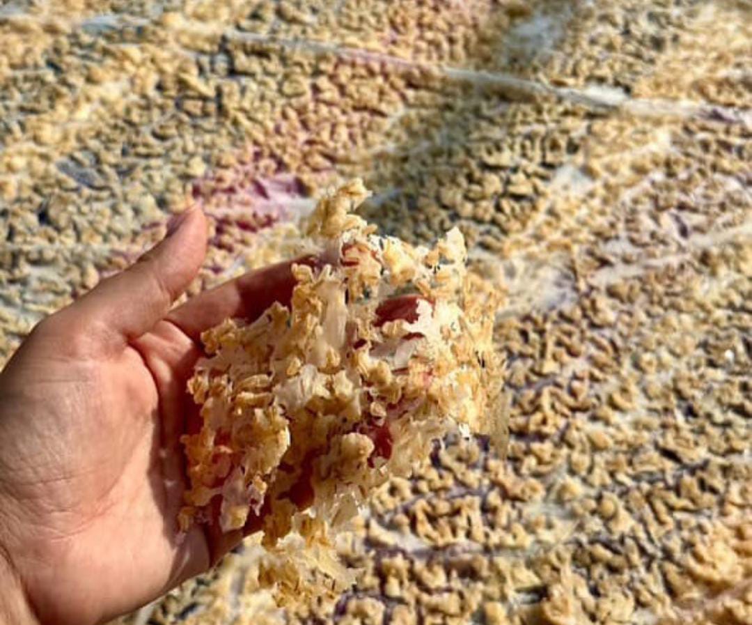 Whatsapp Image 2025 08 21 At 16.20.17