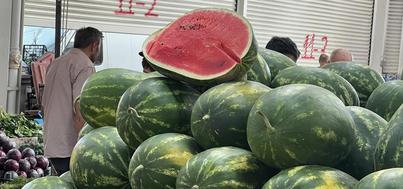 Yapay Zeka Karpuz Seçimi