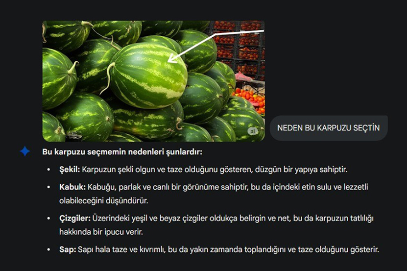 Yapay Zeka Karpuz Seçimi1