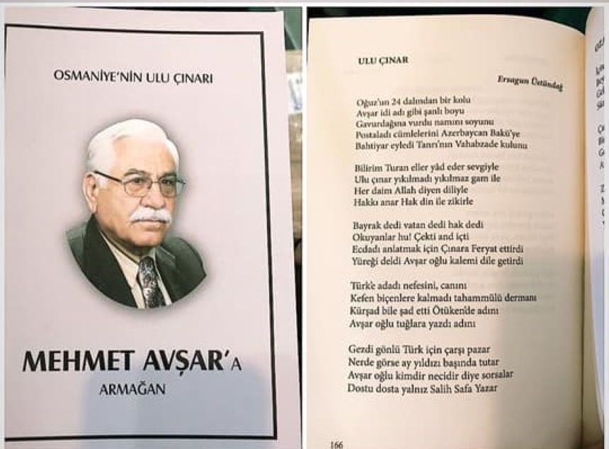 49561000 2110020599057086 7264609771532058624 N