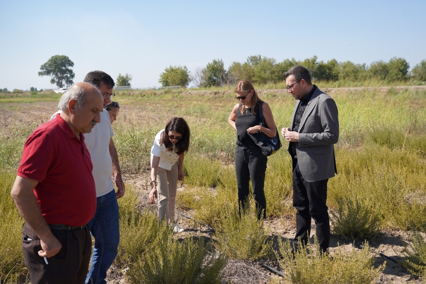 547213268 1081280744179559 8513440941208877534 N