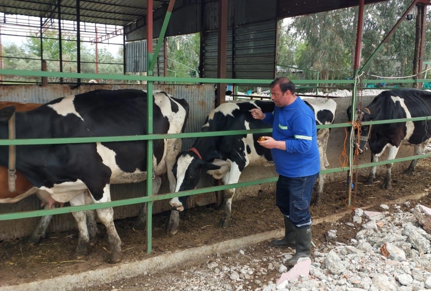 550222381 1237251738204525 8565139030277632860 N